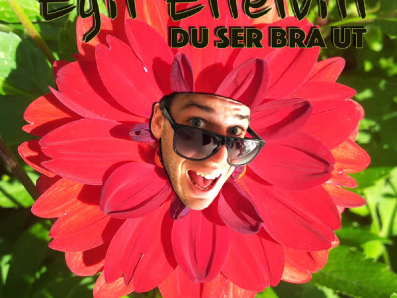 Du ser bra ut (Single)