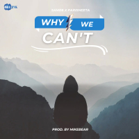 Why We Can't (Single)