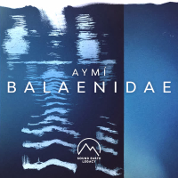 Balaenidae (Single)