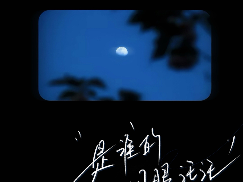 是谁的泪眼汪汪 (Single)