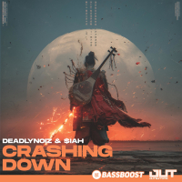 Crashing Down (Single)