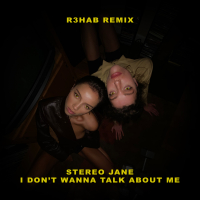 I don't wanna talk about me (R3HAB Remix) (Single)