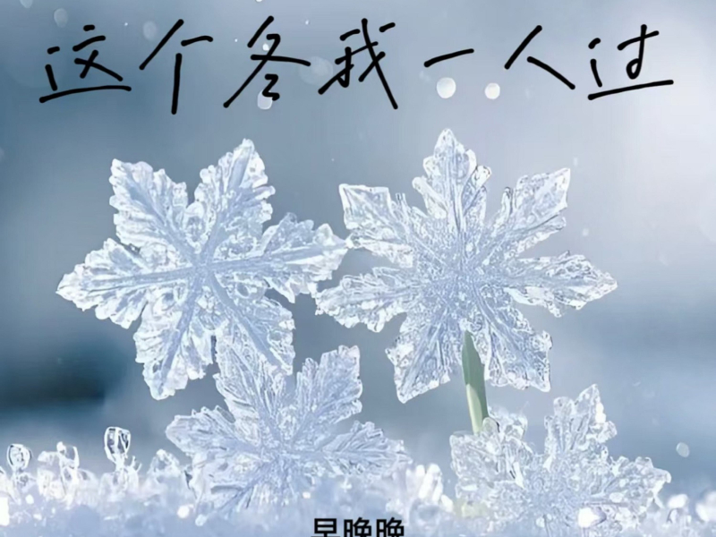这个冬我一人过 (Single)