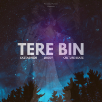 Tere Bin (Single)