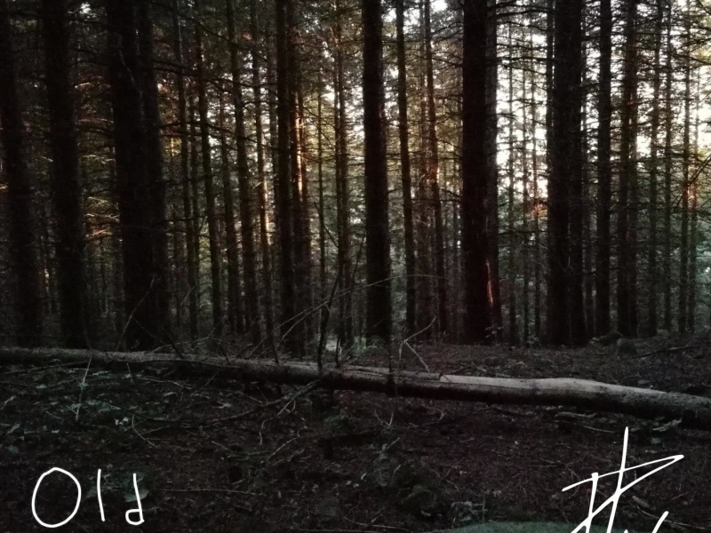 Old Summer, Vol. 1 (Single)