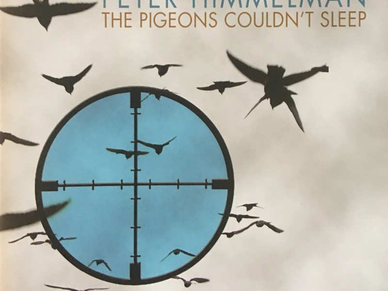 The Pigeons Couldn't Sleep