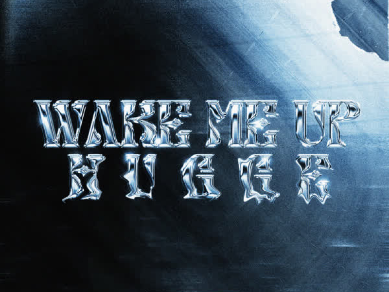 Wake Me Up (Single)