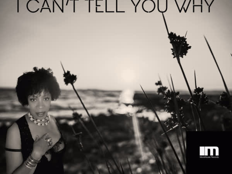 I Can't Tell You Why (Groove n' Soul Mixes)