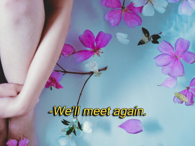 we'll meet again (Single)