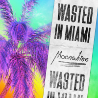 Wasted in Miami (Single)