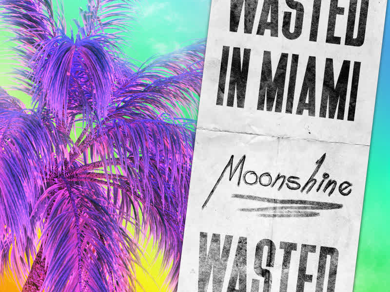 Wasted in Miami (Single)