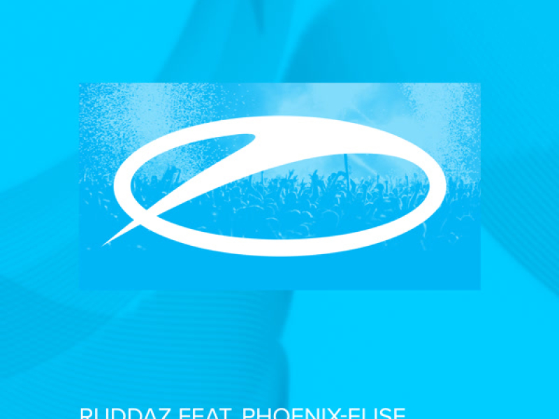 Electronic Playground (Single)