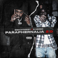 Paraphernalia 2.0 (Single)