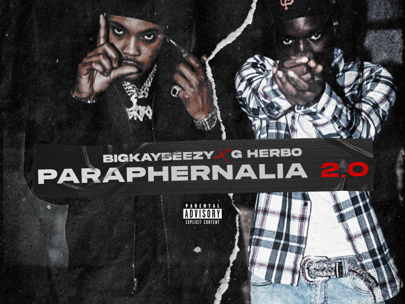 Paraphernalia 2.0 (Single)
