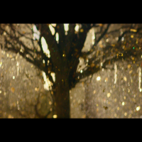 Tears Of Gold (Single)