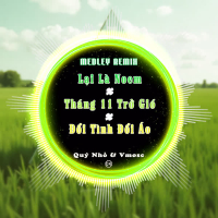 Medley: Lại Là Noem / Tháng 11 Trở Gió / Đổi Tình Đổi Áo (Quý Nhỏ Remix) (Single)