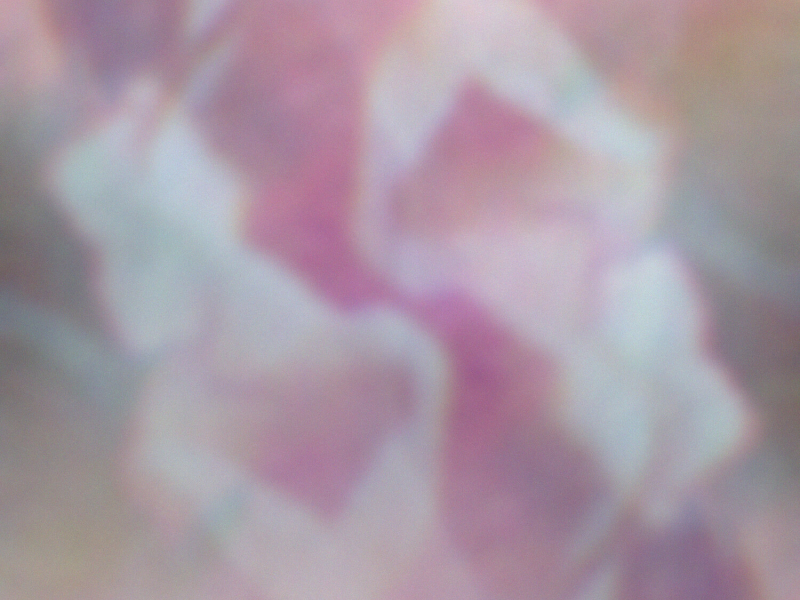 Nowhere / Claustro (EP)