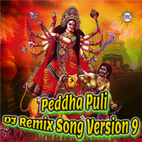 Peddha Puli (DJ Remix Song Version 9) (Single)