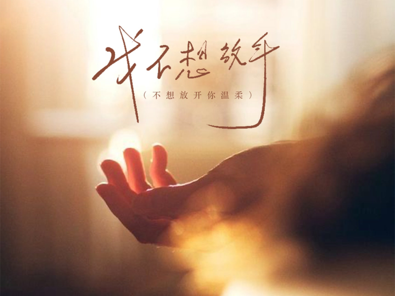 我不想放手 (不想放开你温柔) (Single)