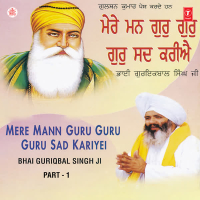 Mere Mann Guru Guru Guru Sad Kariyei Vol-73 (Single)