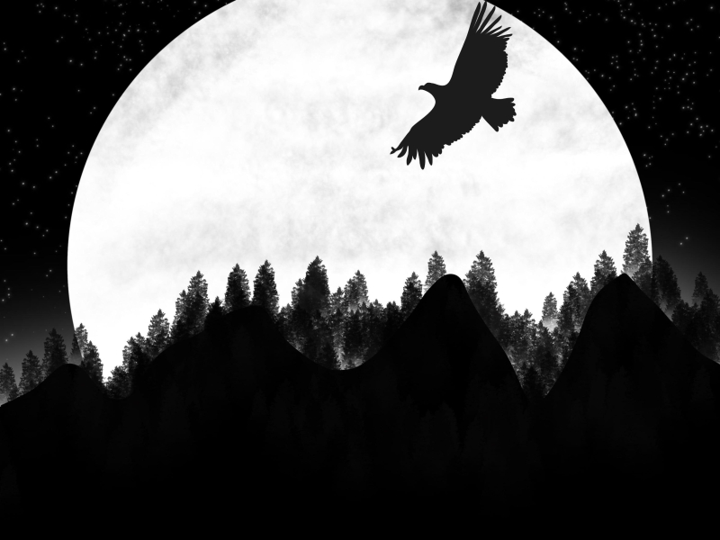 Fly to the end (Single)