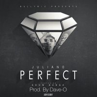 Perfect (feat. Show Banga) (Single)