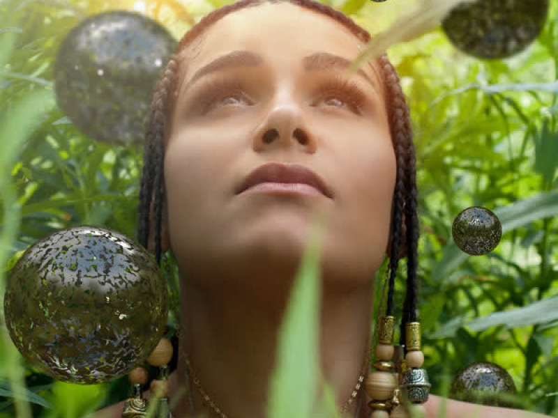 The Secret Life of Planets