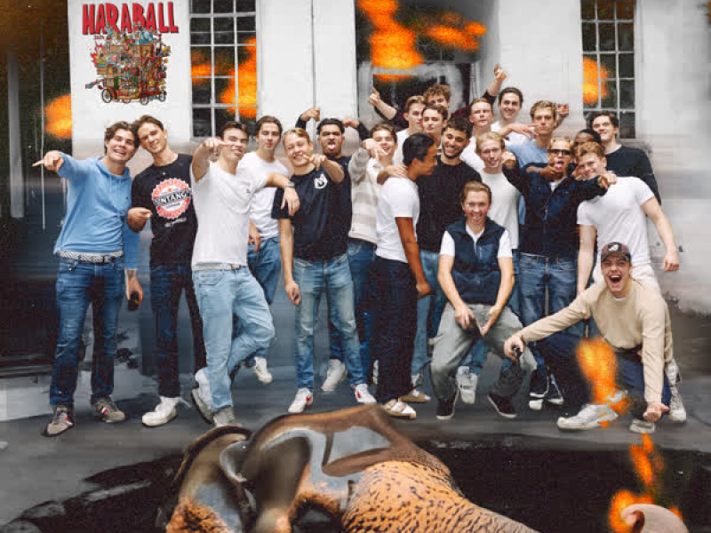 Haraball (Hjemmesnekk) (Single)