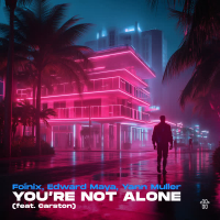 You're Not Alone (Extended Mix) (Single)