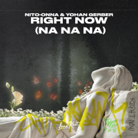 Right Now (Na Na Na) (Single)