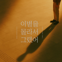 I didn't Know Goodbye (Single)