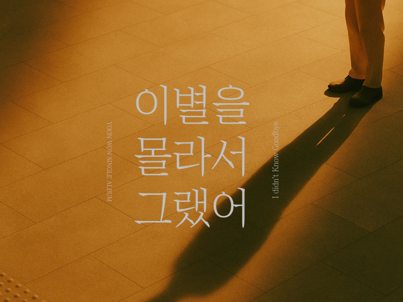 I didn't Know Goodbye (Single)