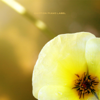 A Late Confession (Single)