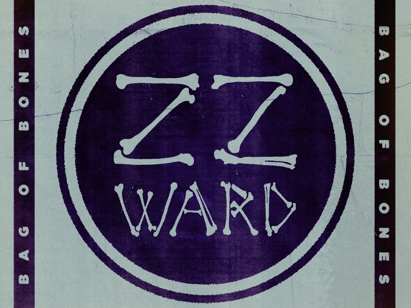 Bag of Bones (Fan Version) (Single)