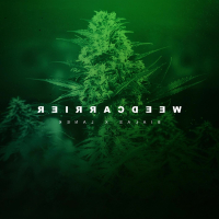 Weed Carrier (Single)