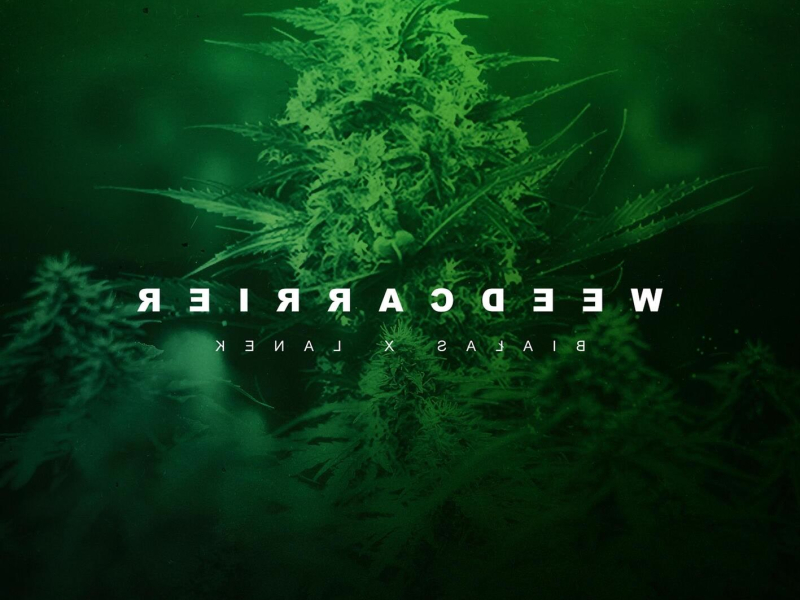 Weed Carrier (Single)