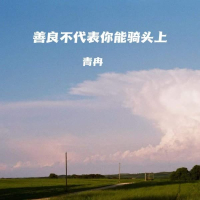 善良不代表你能骑头上 (Dj阿雨版) (Single)