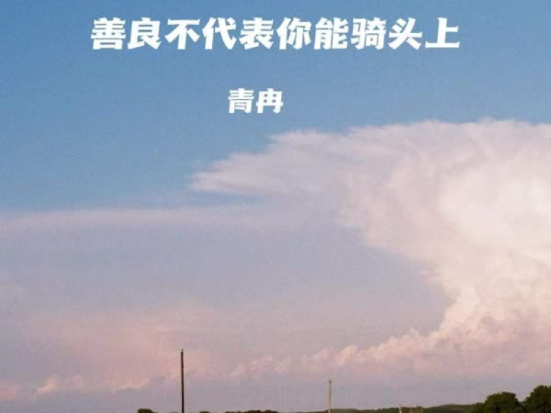 善良不代表你能骑头上 (Dj阿雨版) (Single)