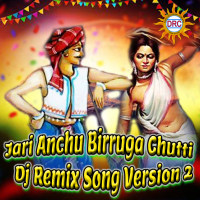 Jari Anchu Birruga Chutti (Dj Remix Song Version 2) (Single)