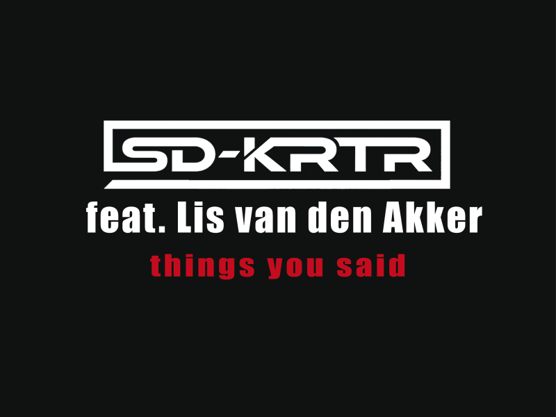 Things You Said (Single)