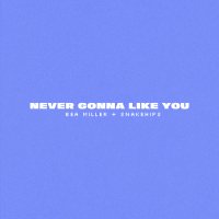 NEVER GONNA LIKE YOU (Single)