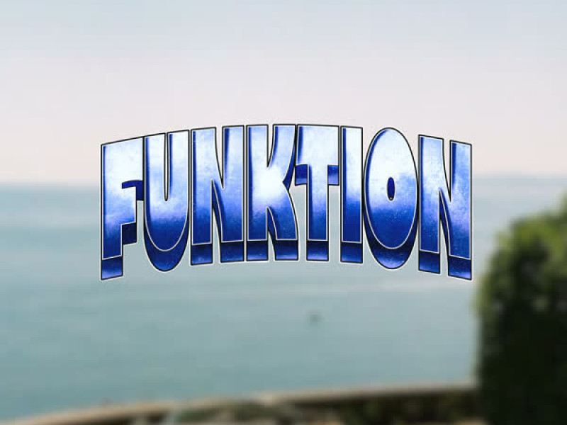 Funktion All The Way (Single)