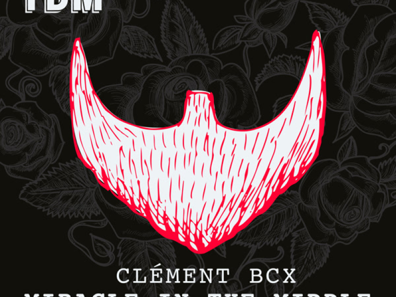 Miracle In The Middle Of My Heart (Single)