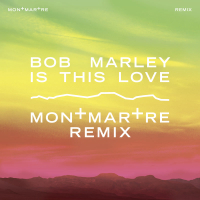 Is This Love (Montmartre Remix) (Single)