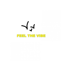 Feel The Vibe (Single)