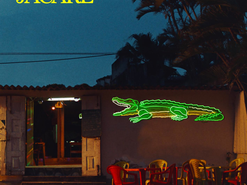 Jacaré (Single)