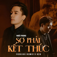 Sợ Phải Kết Thúc (Remix) (Single)
