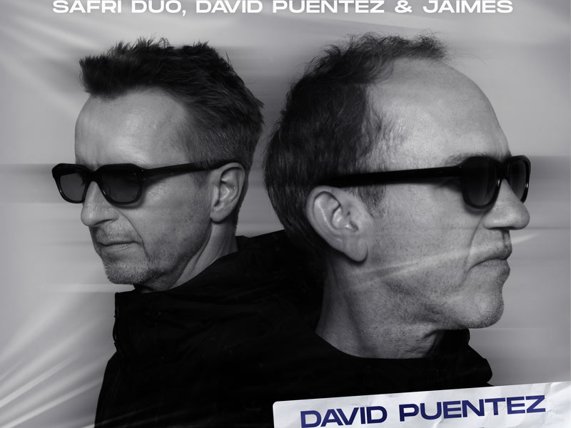 Lonely Days (David Puentez VIP Mix) (Single)