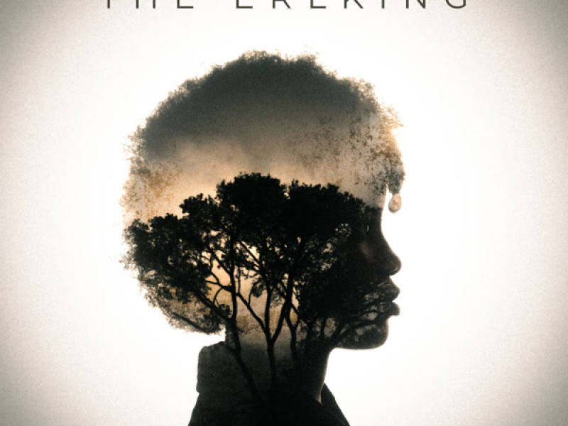 Schubert: The Erlking, D. 328 (Single)