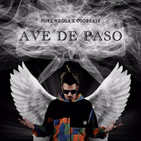 Ave de Paso (Single)